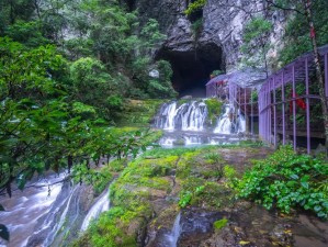 江湖人生：深山秘境泥鳅捕捉全攻略